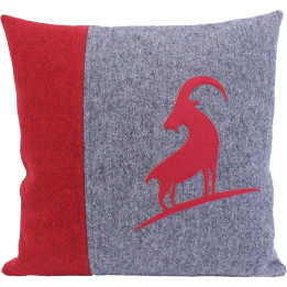 Vanoise cushion