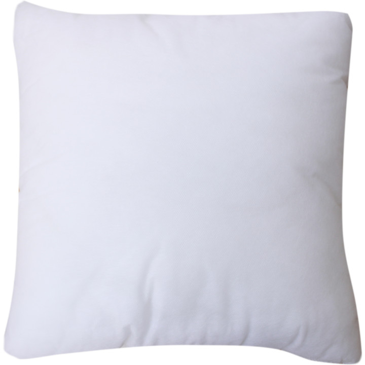Interieur de coussin 45x45 re 350g Couettes oreillers accessoires