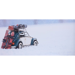Maggiolino sulla neve Dibond - 90x45