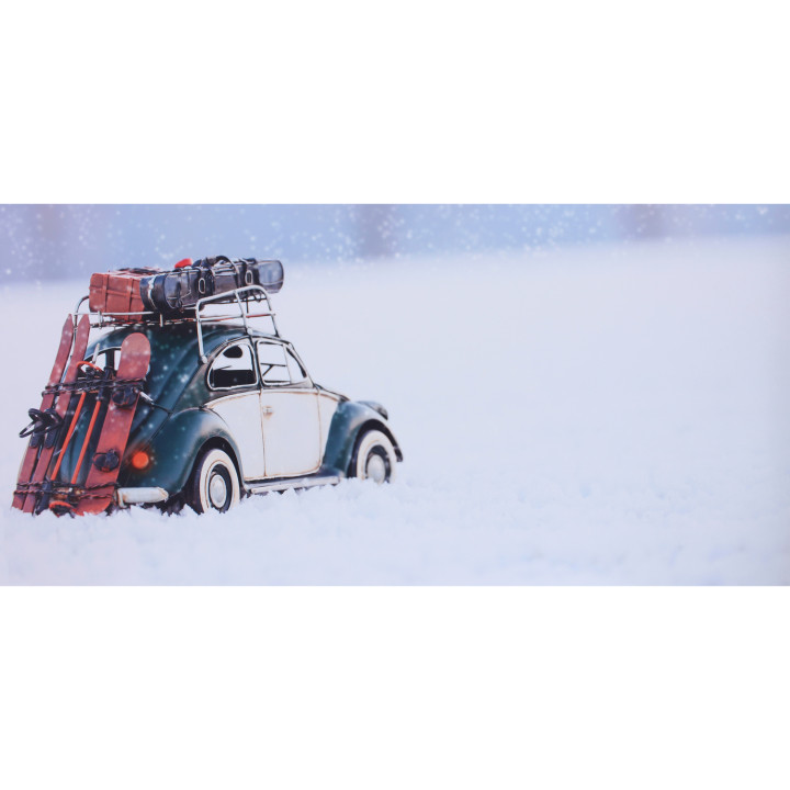 Coccinella sulla neve dibond