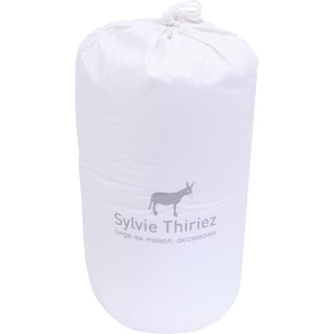 Couette chambre n°2 Couettes oreillers accessoires
