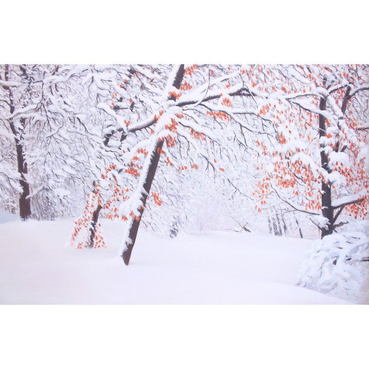 Quadro inizio dell'inverno nel bosco