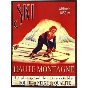 Plaque ski