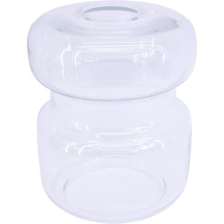 Abat-jour morgane - Transparent | 15x12.5