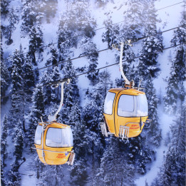 Impression sur dibond les oeufs jaunes de serre chevalier