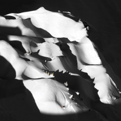 Trace en noir et blanc en photo plexiglass - 60x60