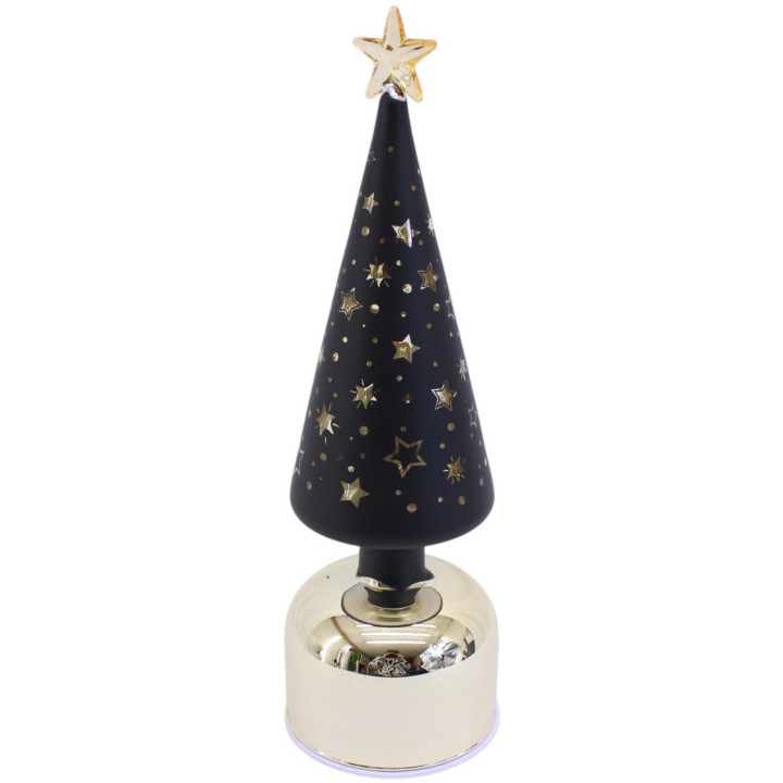 Petit sapin lumineux noir