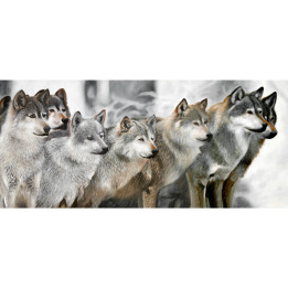 Curious wolf cubs