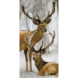 Couple de cerf - 40x80