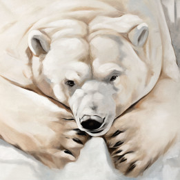 White bear at rest