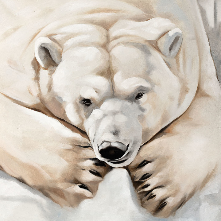 White bear at rest