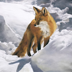 Quadro la volpe e il vento - 40x40