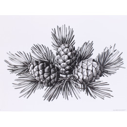 Set de table pomme de pin