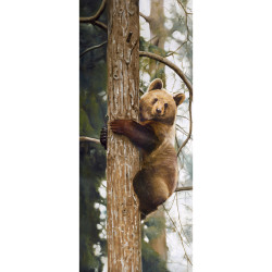 Tableau ours brun grimpeur - 30x75