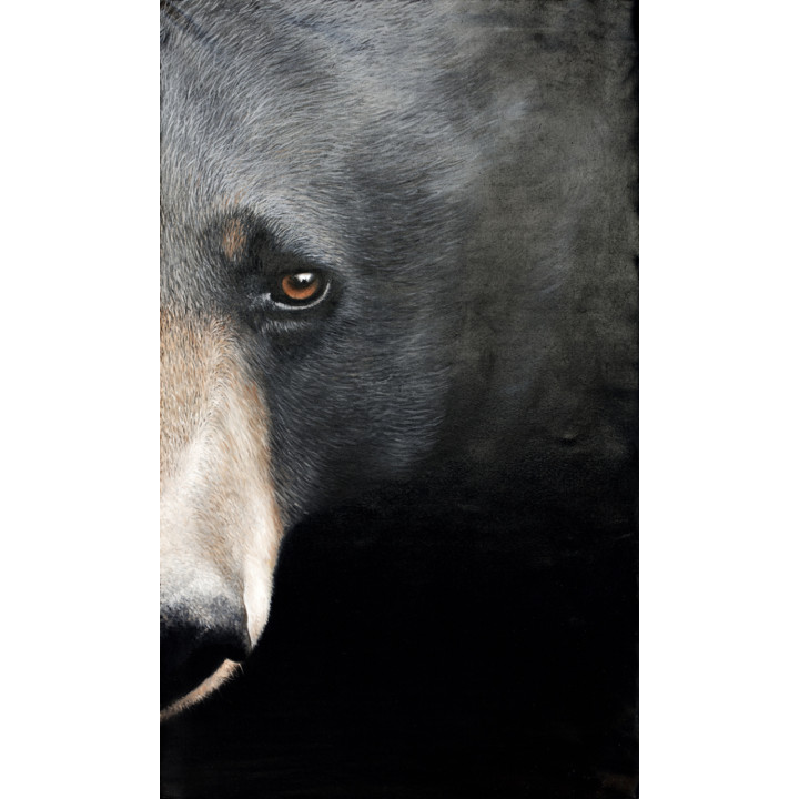 Quadro orso con collare