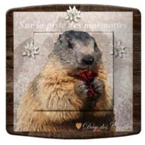 Interrupteur décoré sur la piste des marmottes