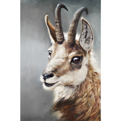 Young Chamois of Megève Painting - 40x60