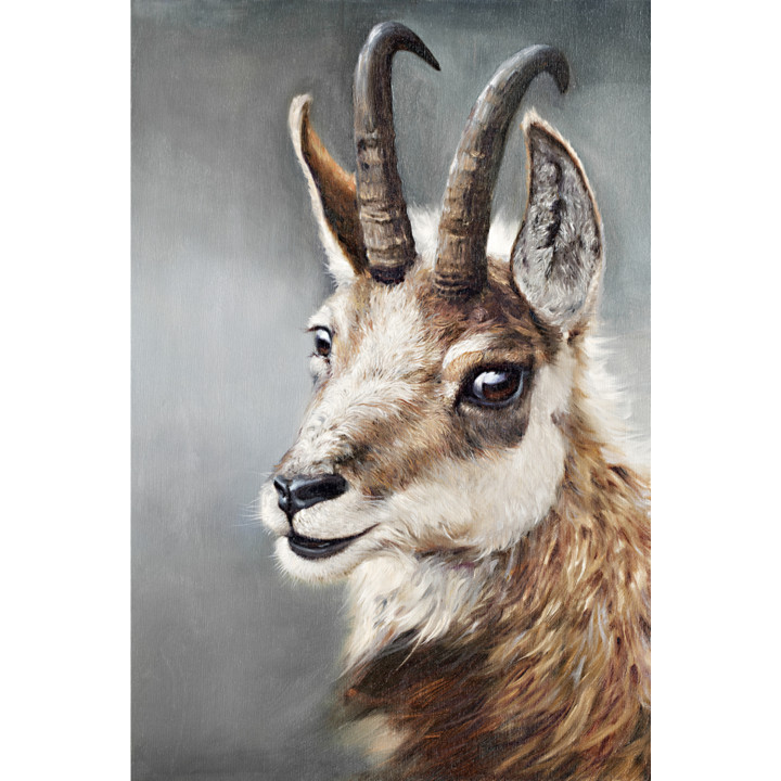 Young Chamois of Megève Painting