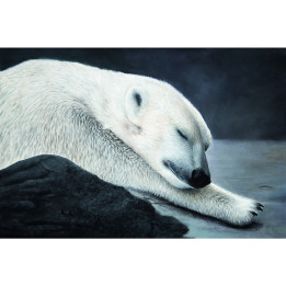Canvas on stretcher frame sleeping white bear