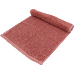 Soft Guest Towel - Rose velouté