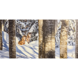 The guardians of the forest on dibond