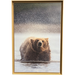 Bear in the water on dibond+oak frame