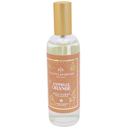 Home fragrance cinnamon orange