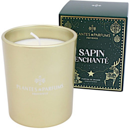 Vegetable wax candle enchanted fir
