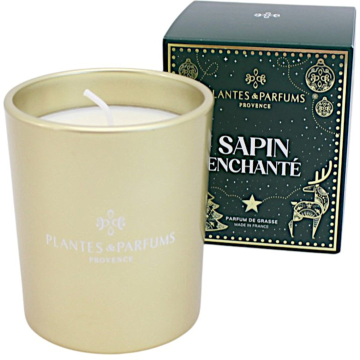 Vegetable wax candle enchanted fir