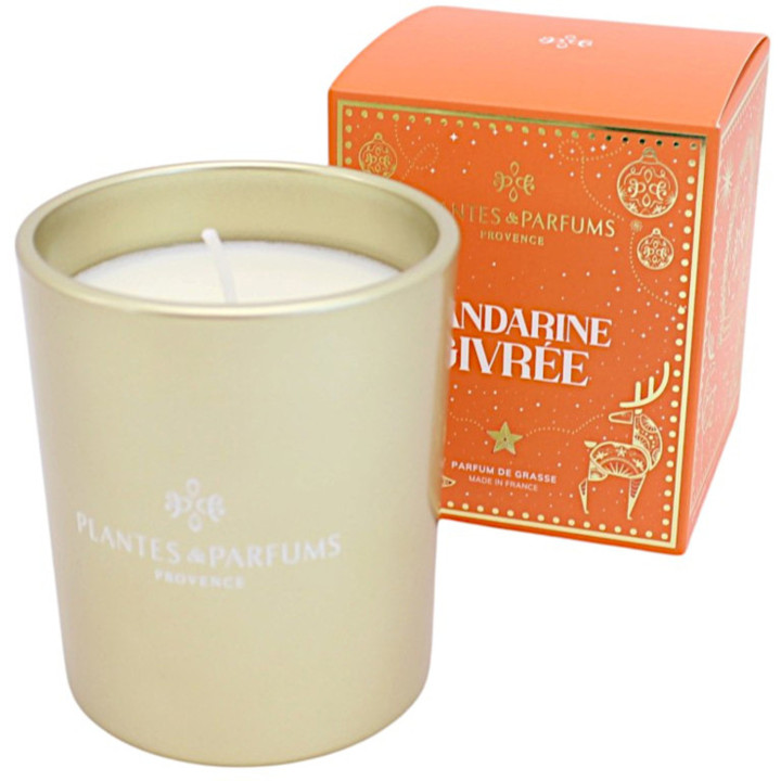Vegetable wax candle frosted mandarin