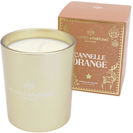 Vegetable wax candle cinnamon/orange