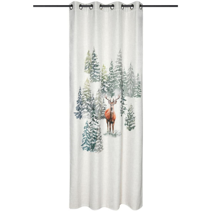 Curtain brame