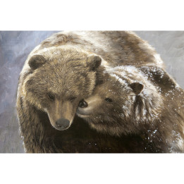 Canvas on frame brown bear cuddle