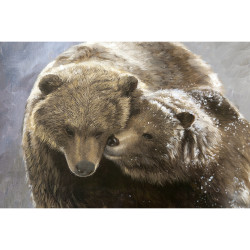 Toile sur chassis calin d'ours brun - 40x60