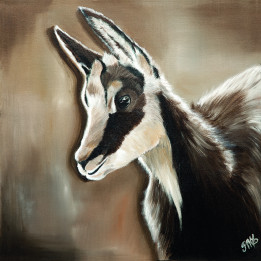 Stretched Canvas Chamois