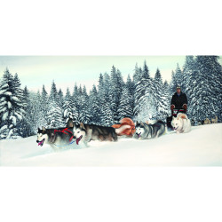 Tela Cani da Slitta su telaio - 45x90