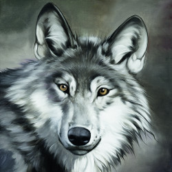Toile sur chassis tête de loup - 40x40