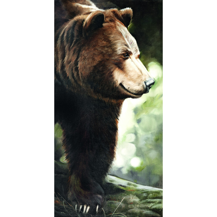 Tela su telaio orso bruno di lato
