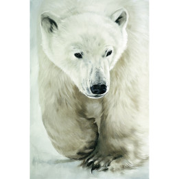 Tela su telaio orso polare in cammino