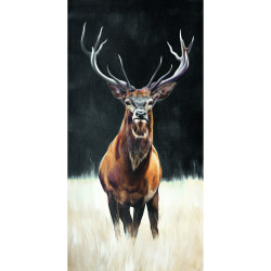 Tela su telaio cervo di fronte - 45x90