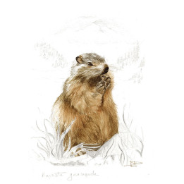 Tela su telaio marmotta golosa