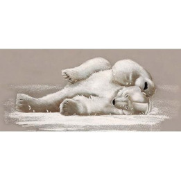 Lying Polar Bear Canvas on Frame