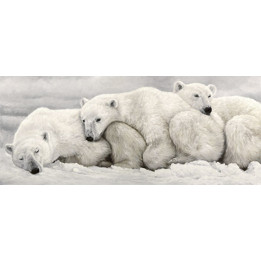 Canvas on stretcher polar bear family