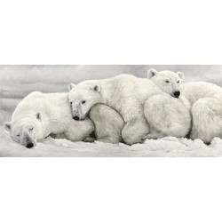 Toile sur chassis famille ours polaire - 75x30
