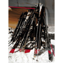 Plexi photo skis on terrace