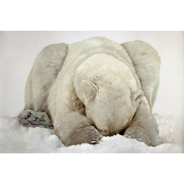 Tela su telaio orso polare testa neve