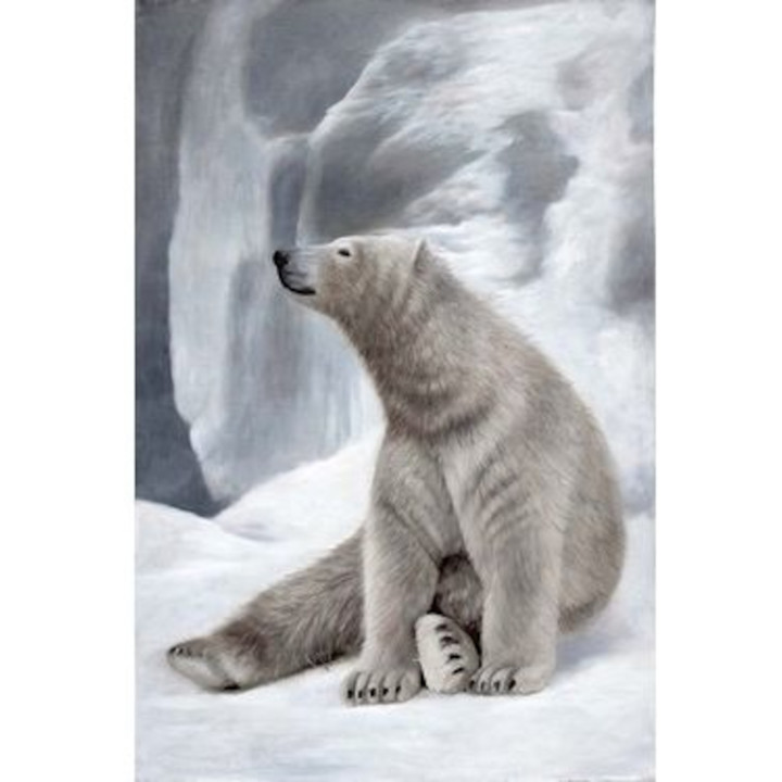 Canvas on frame seated polar bear