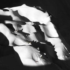 Trace en noir et blanc  en photo plexiglass