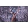 Cerf en photo sur dibond