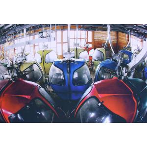 Quadro "Uova in fila" - Christian Arnal